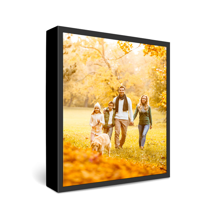 12x16" Framed Canvas Print