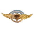 Argentine Army Parachutist Badge - Army & Outdoors - Flags, Badges & Insignia
