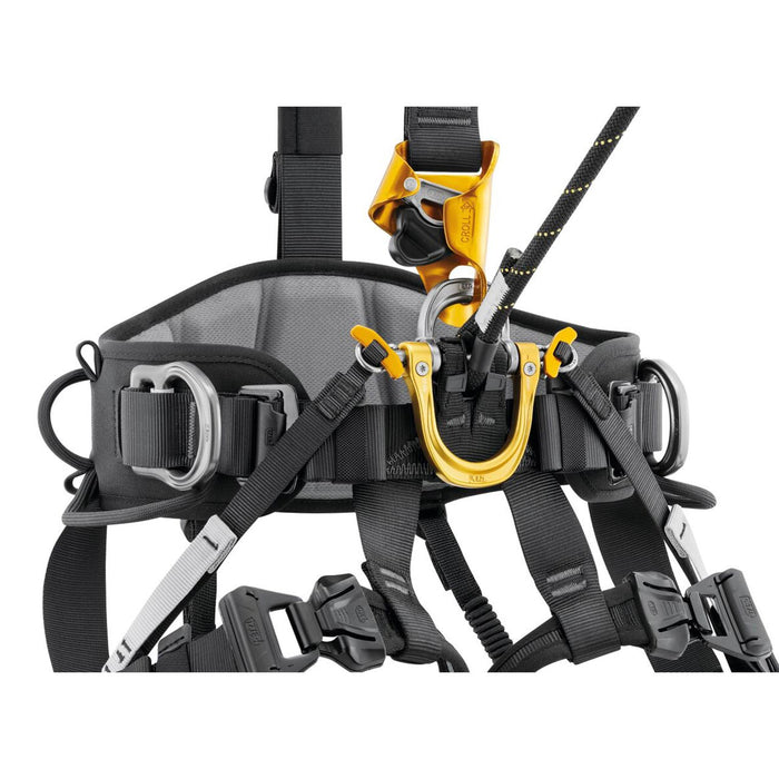 Astro International Harness