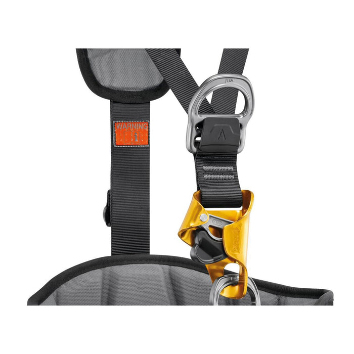 Astro International Harness