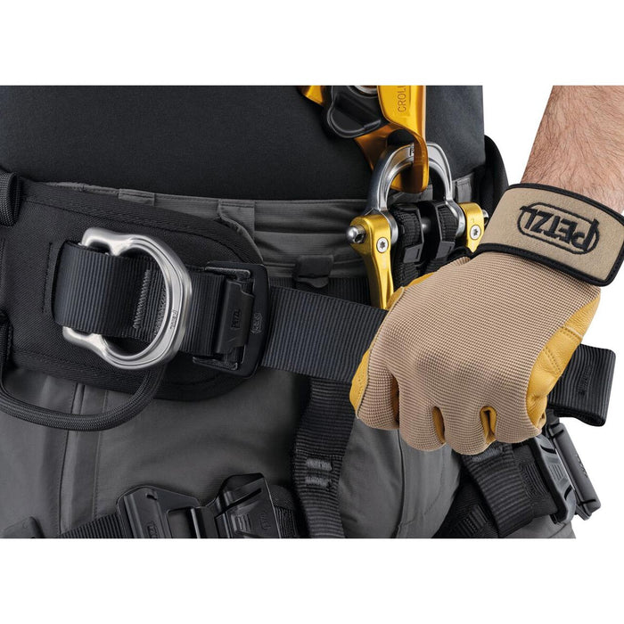 Astro International Harness