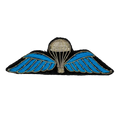 Bullion Paratrooper Badge - Army & Outdoors - Flags, Badges & Insignia