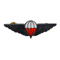 Ciskei Defence Force (CDF) Parachute Wing - Halo Badge - Army & Outdoors - Flags, Badges & Insignia