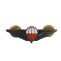 Ciskei Defence Force (CDF) Parachute Wing - Halo Mess Badge - Army & Outdoors - Flags, Badges & Insignia