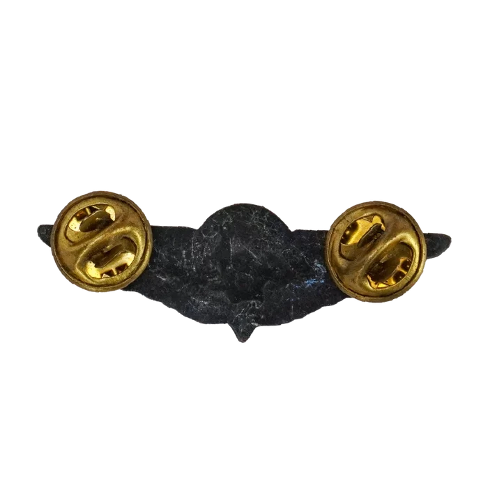 Ciskei Defence Force (CDF) Parachute Wing - Halo Mess Badge - Army & Outdoors - Flags, Badges & Insignia