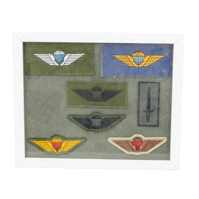 Danish Army Parachute Qualification Wings Display Board, Item 2 - Danish Surplus - Flags, Badges & Insignia