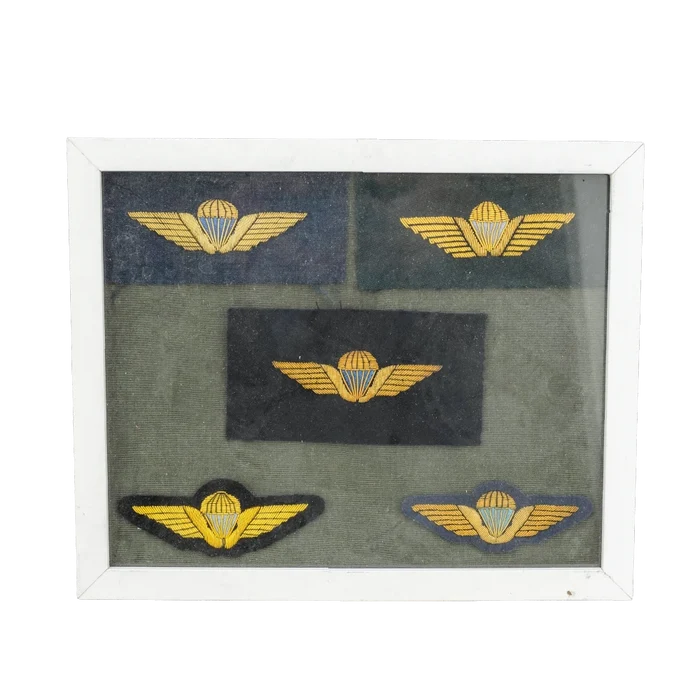 Danish Army Parachute Qualification Wings Display Board - Danish Surplus - Flags, Badges & Insignia