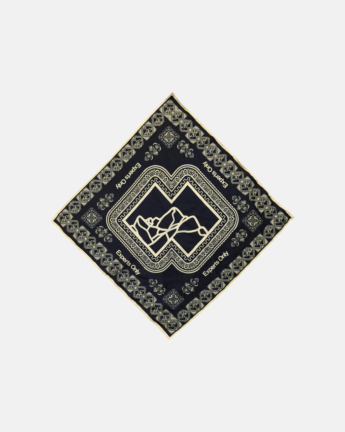 Experts Only Silk Scarf