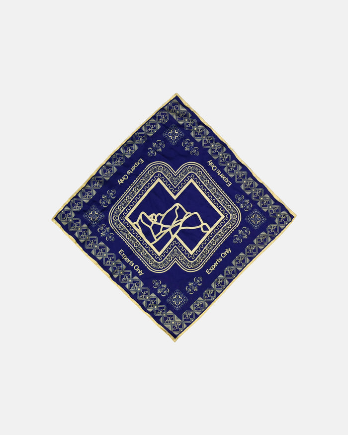 Experts Only Silk Scarf
