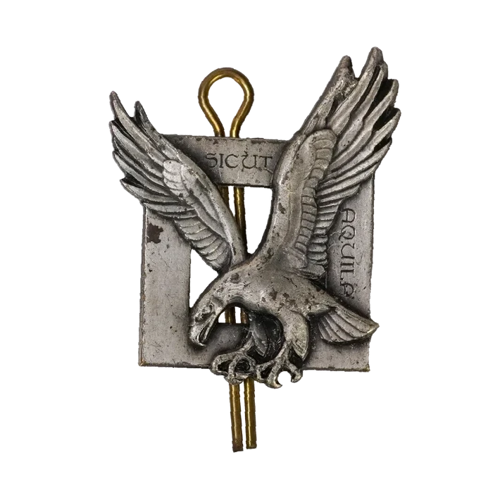 French 1960s Air Commando Fusiliers Badge - French Army Surplus - Flags, Badges & Insignia