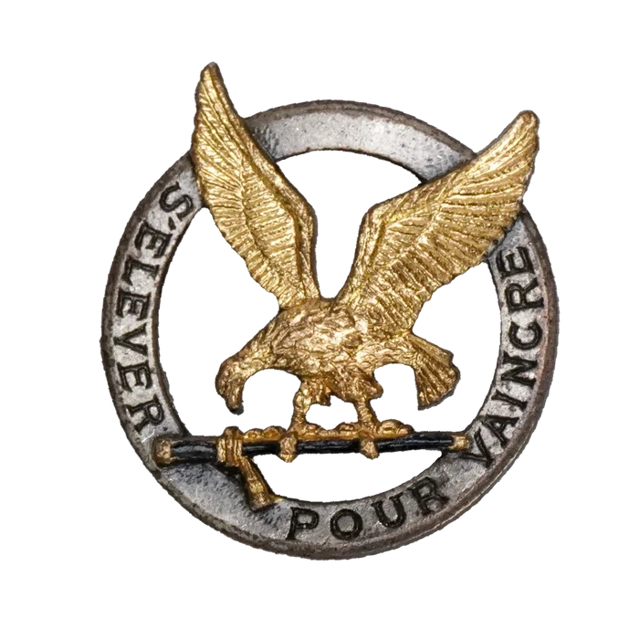 French Air Force Groupe École 318 (School Group 318) Badge - French Army Surplus - Flags, Badges & Insignia