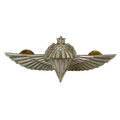 Israel Defense Forces (IDF) Advanced Parachutist Badge - Israeli Army Surplus - Flags, Badges & Insignia