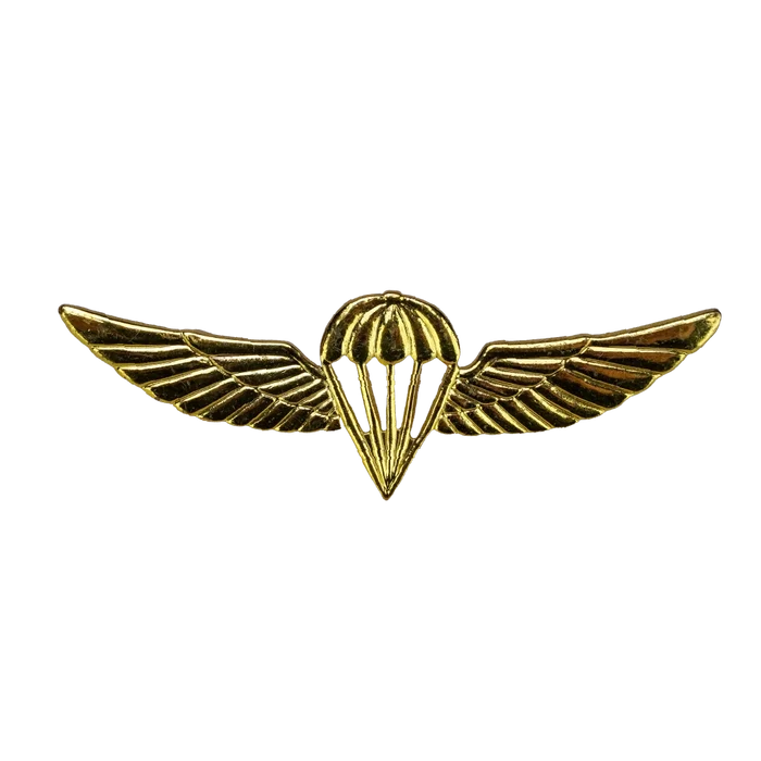 Israel Defense Forces (IDF) Gold Parachutist Badge - Israeli Army Surplus - Flags, Badges & Insignia