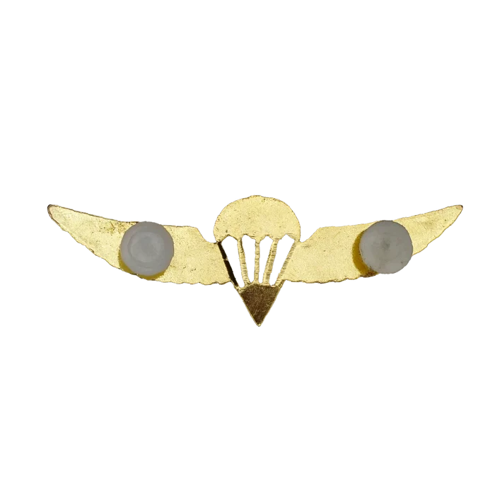 Israel Defense Forces (IDF) Gold Parachutist Badge - Israeli Army Surplus - Flags, Badges & Insignia