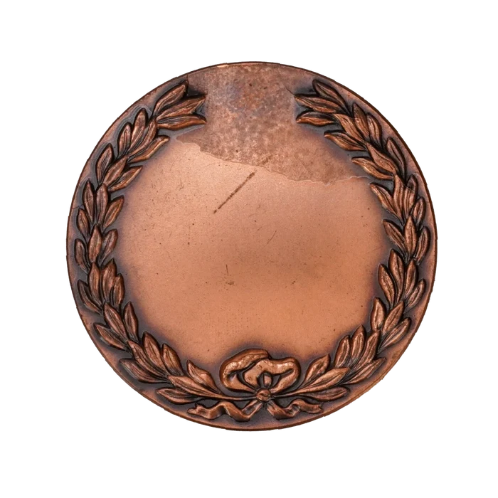 Israeli Defence Force (IDF) Paratrooper Commemorative Coin - Israeli Army Surplus - Flags, Badges & Insignia