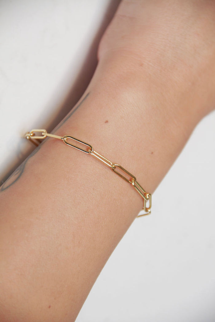 Medium Clip Chain Bracelet - GF - Pavilion