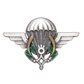Niger Airborne (Parachutist) Qualification Badge - Army & Outdoors - Flags, Badges & Insignia