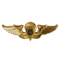 Republic of China (Taiwan) Army Parachutist Badge - Army & Outdoors - Flags, Badges & Insignia