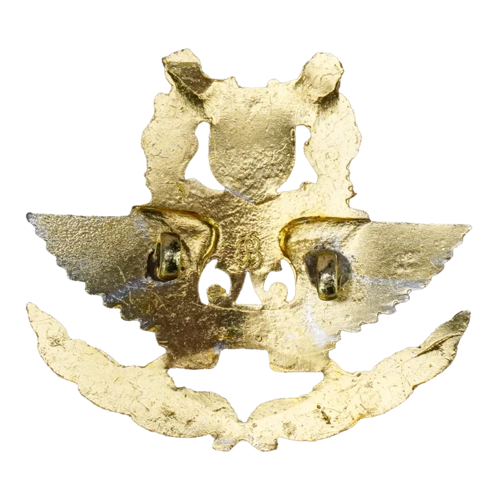 Republic of Singapore Air Force (RSAF) Cap Badge - Singapore Army Surplus - Flags, Badges & Insignia