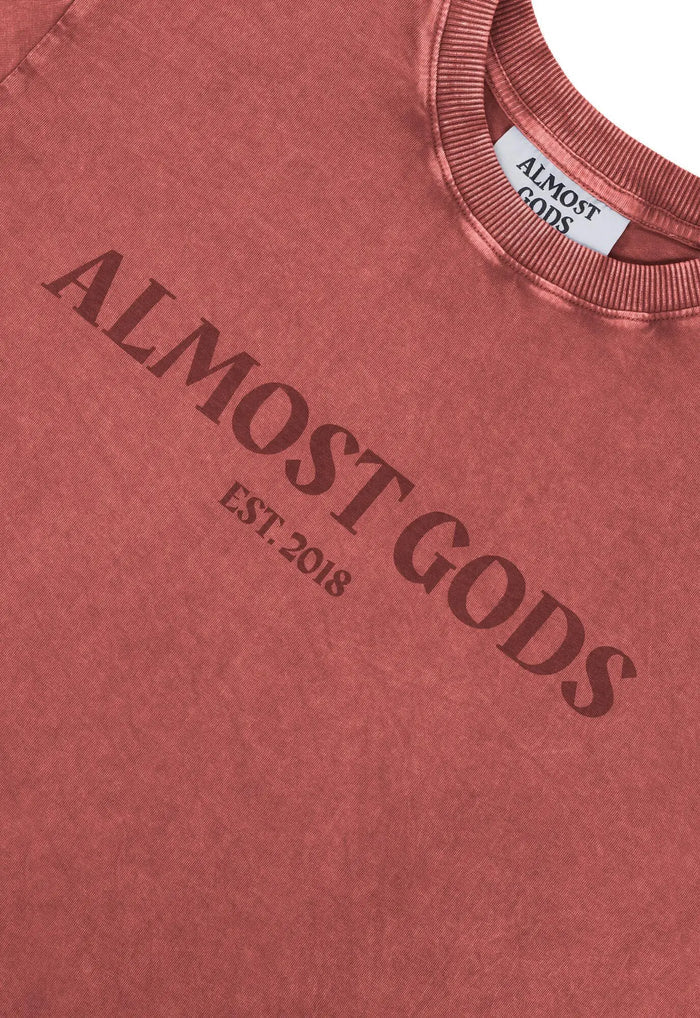 Stonewashed Logo Regular Tee