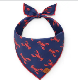 The Foggy Dog Bandana