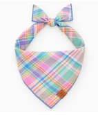 The Foggy Dog Bandana