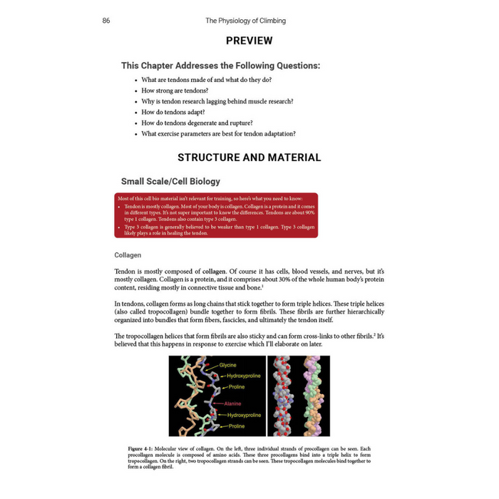 The Physiology of Climbing - Austin Steady