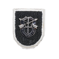 US 5th Special Forces Group Beret Badge and Flash - US Army Surplus - Flags, Badges & Insignia