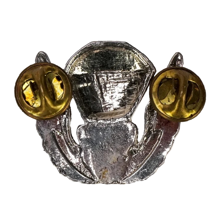 US Army 82nd Airborne Division Freefall Wings Badge - US Army Surplus - Flags, Badges & Insignia