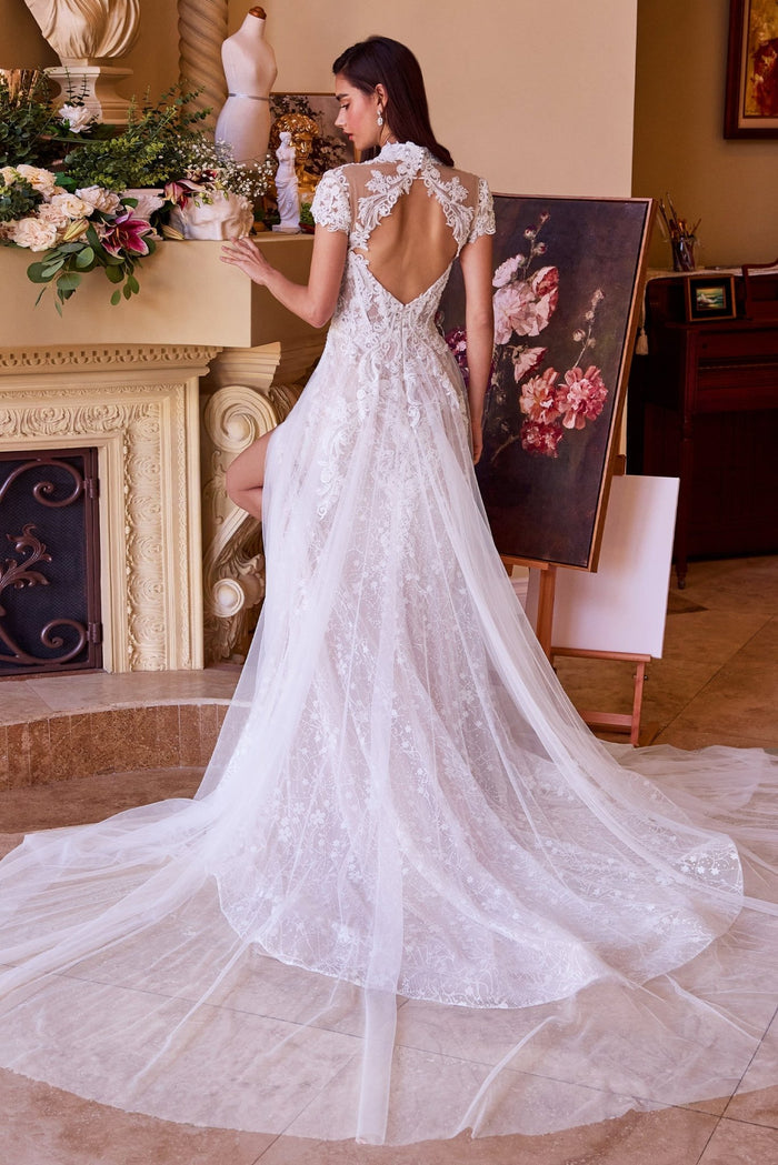 WL035 - Andrea Leo Couture